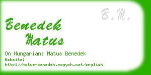 benedek matus business card